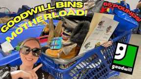 A Goodwill Bins✨MOTHERLOAD ✨!!  My Cart Was OverFlowing! Thrift With Me For 60+ Pounds! +HAUL!