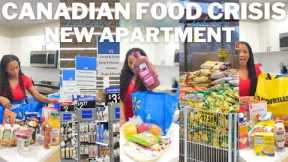 MOVING VLOG 10: HUGE Grocery Shopping Vlog + haul (Costco, Walmart, No frills) Fridge + pantry tour