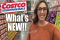 ✨COSTCO✨ What’s NEW + In-store