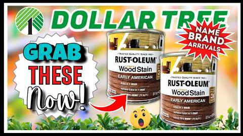 🔥 DOLLAR TREE Finds You NEED to Haul NOW! Never Seen Before Arrivals! Craft DIY, Rustoleum & More!