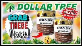 🔥 DOLLAR TREE Finds You NEED to Haul NOW! Never Seen Before Arrivals! Craft DIY, Rustoleum & More!