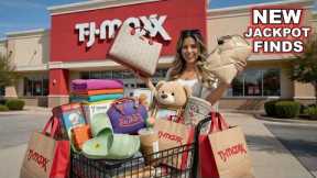 INSANE TJ Maxx Girly Shopping Spree: No Budget Designer Haul!