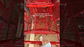 everything I got from trader joe’s for a family of 5🍓🛒🌸🥦 #asmr #traderjoes #groceryshopping