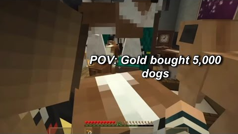 Gold’s Online Shopping Addiction 😭 (YHS)