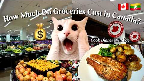 Grocery Shopping in Canada 🇨🇦 | How Much Do Groceries Cost in Toronto?