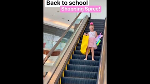 Back to School Shopping Spree...🤦‍♀️ It LOVES Shopping!