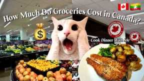 Grocery Shopping in Canada 🇨🇦 | How Much Do Groceries Cost in Toronto?