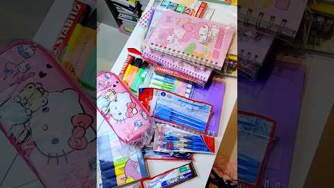 Back to School Supplies Shopping 2025 (NO BUDGET!!)