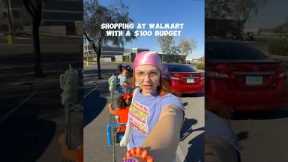 shopping at Walmart with a $100 budget 😘🤞🏼 #girlmom #shopping #budget