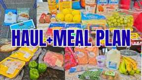 Budget Grocery Haul | $133 Costco, Aldi & Walmart Haul
