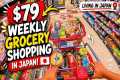 $79 Weekly Grocery Shopping in Japan